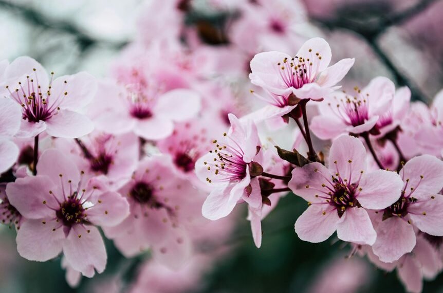 digital solutions for growth